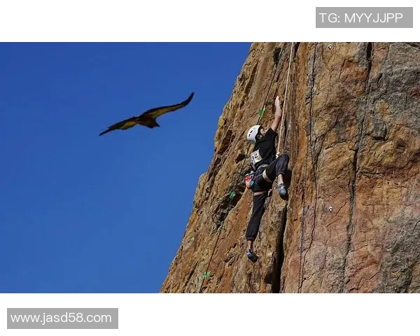 武汉攀岩队的防反策略解析与攀岩热点的深度探讨