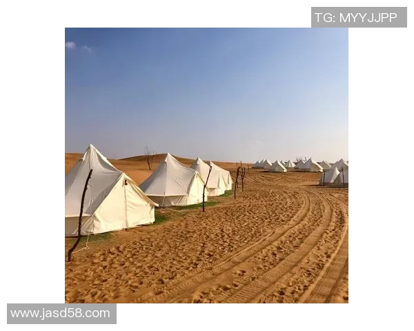 帐篷探险之旅:体验自然之美与露营生活的完美融合